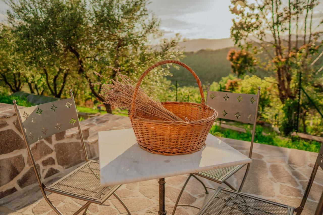 L'Otello B&B Pistoia Dış mekan fotoğraf