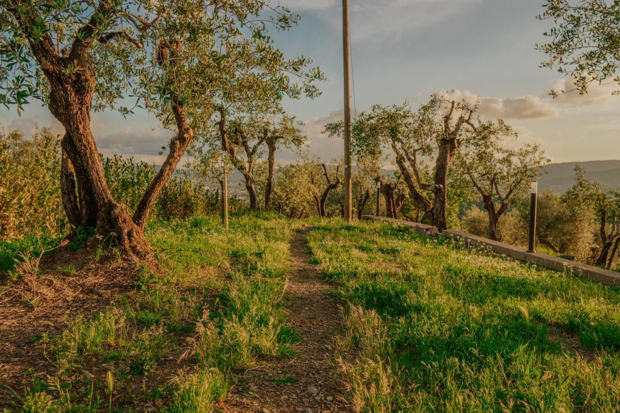 L'Otello B&B Pistoia Dış mekan fotoğraf